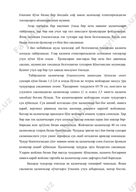 ади. агар беда бўлмаса, унинг ўрнига қатор оралари ишланадиган техника ва сабзавот экинларини экиш мумкин. кузда ер чуқур 40-60 см чуқурликда плуглар билан ҳайдалади. махсус плуг бўлмаганда оддий трактор плуглари билан камида 30 см чуқурликда ҳайдалади. агар, майдонга беда экилмаган бўлса, ҳайдашдан олдин гектарига 20-40 т ҳисобидан чириган гўнг солинади. чиримаган гўнг тавсия этилмайди, чунки ерда бузоқбоши қўнғиз кўпайиб кетади. бедадан бўшаган ерларга кўчат ўтқазаётганда калийли ва фосфорли ўғитлар солинади, 1 гектарга 90 кг фосфор, 40-50 кг калий ҳисобида. баҳорда қаламчалар ўтқазилгунча ер чизель ёки оғир борона билан юмшатилади ва кейин мола бостирилади. қаламчалар ўтқазишдан 20-25 кун олдин (мартнинг охири апрель бошида) ўралардан ковлаб олинади ёки кесилмаган токлардан кесиб олинади. уларнинг ҳолати текширилади, яхши қаламчалар пастки куртак остидан (агар кесилган жойда каллус ҳосил бўлмаган бўлса) янгидан кесилади. шундан кейин қаламчалар бир-икки кун сувга солиб қўйилади, сўнгра кильчёвкалаш учун пастки учини юқорига қаратиб чуқурга қўйилади. улар олдин боғ-боғ қилиб боғланади ва …