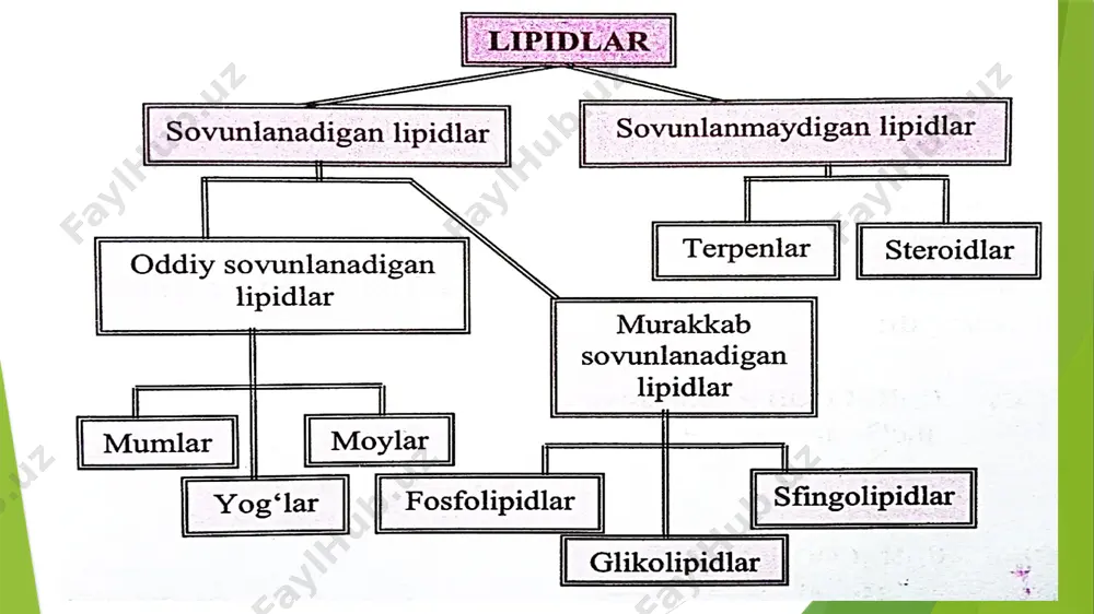 ngitlarni davolashda qo'llaniladi. zaytun karotinlarga boy, u c, b1, b2, b6, k, e. p darmondorilari va folin kislota, uglevodlar, organik kislotalar (olma, limon, vino, oksalat), oshlovchi moddalar flavonoidlar makro elementlar hamda fitonsidlar saqlaydi. zaytunning yangi mevasi va sharbati bakteriotsid ta'sirga ega, modda hazm bo'lishini yaxshilaydi. sovunlanadigan murakkab lipidlar sovunlanadigan murakkab lipidlar spirt va yuqorimolekular kislotalar qoldog'idan tashqari yana boshqa guruhlarni hosil qilib gidrolizlanadi. bu guruhlar sifatida fosfat kislota, mono- va oligosaharidlar boʻladi. ular quyidagi uchta katta sinfga boʻlinadi: •fosfolipidlar; •sfingolipidlar; • glikolipidlar. fosfolipidlar gidrolizlanganda fosfat kislota hosil bo'ladigan lipidlar. hamma tabiiy fosfolipidlar asosida l-glitsero-3-fosfat yotadi. l- glitsero-3-fosfat glitserofosfatdegidrogenaza fermenti ishtirokida hosil bo'ladi: fosfolipidlarda l-glitsero-3-fosfatning c-1 va c-2 holatdagi spirt gidroksidlari yog' kislotalar bilan efirlangan bo'ladi.aksariyat, tabiiy fosfolipidlarda c-1 holatdagi spirt gidroksidi to'yingan, c-2 holatdagi spirt gidroksidi esa to'yinmagan yuqori molekular yog' kislotalari bilan efirlangan bo'ladi. bunday tuzilishli birikmalar l-fosfatid kislotalar(1)deb ataladi: fosfatidlarning eng ko’p uchraydigan vakillari fosfolipidlar sutda, tuxum sarig'ida,miya …