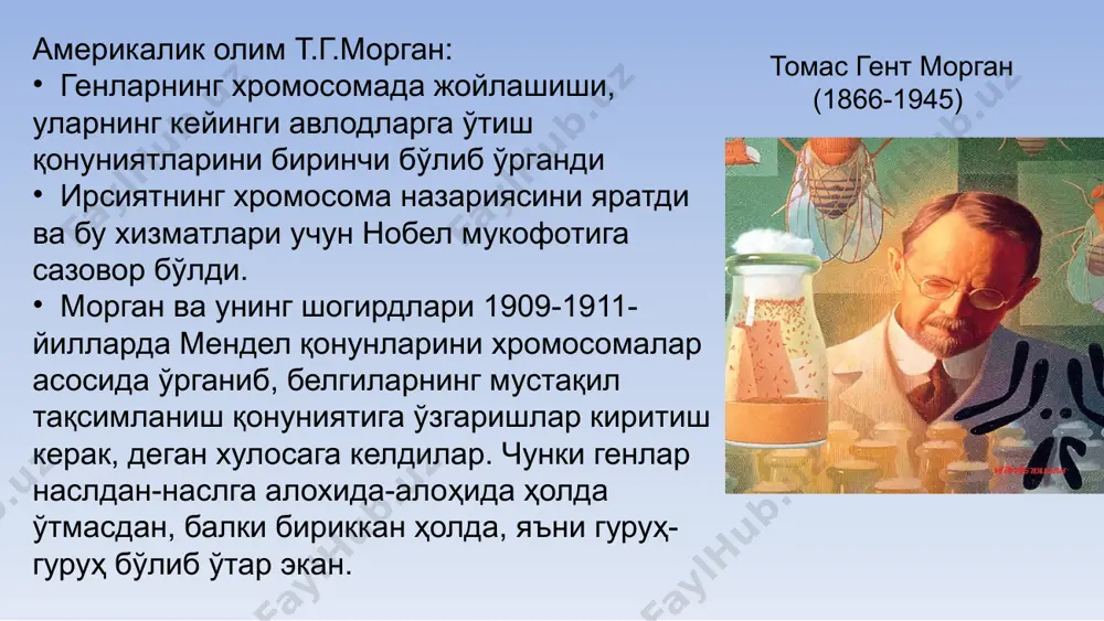 сони с- хромосомаларида чалкашув бўлган иккинчи гуруҳ дурагайлари сони n – шу тажрибадаги дурагайларнинг сони генлар орасидаги масофани аниқлаш 1,5% 3,5% 5,0% 10,0% чалкашувни ва генларнинг бир-бирига нисбатан жойлашишини ўрганиш генларнинг хромосомада бир чизиқ бўйлаб жойлашади деган хулосага олиб келди ва махсус генетик харита тузиш имкониятини яратди. битта хромосомадаги генларнинг бир-бирига нисбатан қиёсий жойлашувини тасвирловчи чизмага генетик харита дейилади. хозирги пайтда шажара усули, соматик ҳужайраларни чатиштириш, цитогенетик (хромосомалар шакли), биокимёвий (оқсил молекуласида аминокислоталар кетма-кетлиги) усули ёрдамида одам хромосомаларининг генетик харитасини тузиш. соматик ҳужайраларни дуругайлаш: а ҳужайра + а ҳужайра = гомокарион а ҳужайра + в ҳужайра = гетерокарион одамларда резус омилни ва эллиптоцитозни аниқловчи генлар биринчи аутосомада жойлашган (генлар орасидаги масофа 3 морганида), аутосом доминант типда ирсийланади. одамларда катаракта ва полидактилияни аниқловчи генлар аутосомада жойлашган, аутосом доминант типда ирсийланади. тирноқ ва тизза нуқсони синдромини аниқловчи генлар аутосомада жойлашган, аутосом доминант типда ирсийланади. ундан 10 морганида масофада ав0 генлари қон гуруҳларининг …