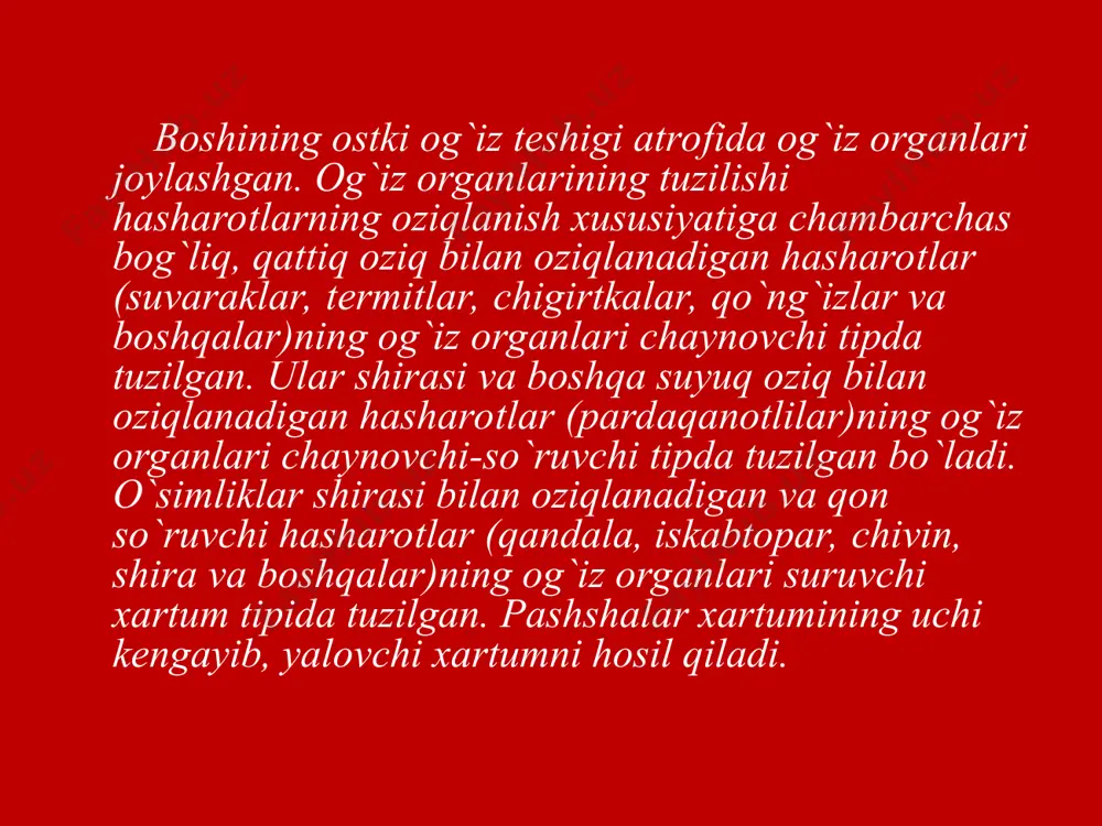 dan ajralib turadi. bu hodisa jinsiy dimorfizm (di - ikki, morf - shakl yoki ko`rinish) deyiladi. ayrim qo`ng`izlarning erkagi shoxli bo`lishi, mo`ylovlari uzunligi bilan urg`ochisidan farq qiladi. shu bilan birga koloniya bo`lib yashaydigan hasharotlar oilasida turli vazifani bajaruvchi individlar tashqi qiyofasi bilan bir-biridan keskin farq qiladi. bu hodisa polimorfizm (poli - ko`p, morfo - shakl, ko`rinish) deb ataladi. ko`pchilik hasharotlar urug`langan tuxum qo`yadi. тuxum urg`ochisining tanasida urug`langach, tashqariga chiqariladi. hasharotlar orasida urug`lanmagan tuxum qo`yish, ya'ni partenogenez (partenos bokiralik, qizlik, genezis ko`payish) yo`li bilan ko`payadigan turlari ham bor. partenogenez ko`payishida urug`lanmagan tuxumdan nuqul urg`ochilari (o`simlik shira bitlari) yoki erkaklari (asalarilar) rivojlanadi. ko`pincha partenogenez va urug`lanib ko`payish muhit sharoitiga bog`liq bo`lib, mavsumiy xarakterga ega. ko`payishi. rivojlanishi. hasharotlarning embrional rivojlanishi halqali chuvalchanglarnikiga o`xshab ketadi. rivojlanish davrida embrion juda ko`p halqalardan iborat davrni o`tadi. hasharotlar lichinkasining postembrional (tuxumdan chiqqandan keyingi) rivojlanishi turlicha bo`ladi. postembrional rivojlanishning borishiga qarab hasharotlarni uchta katta guruhga ajratish mumkin. birmuncha …