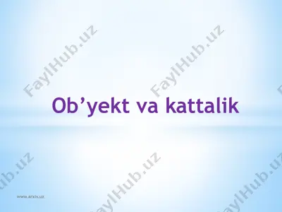 ob’yekt va kattalik — PPT