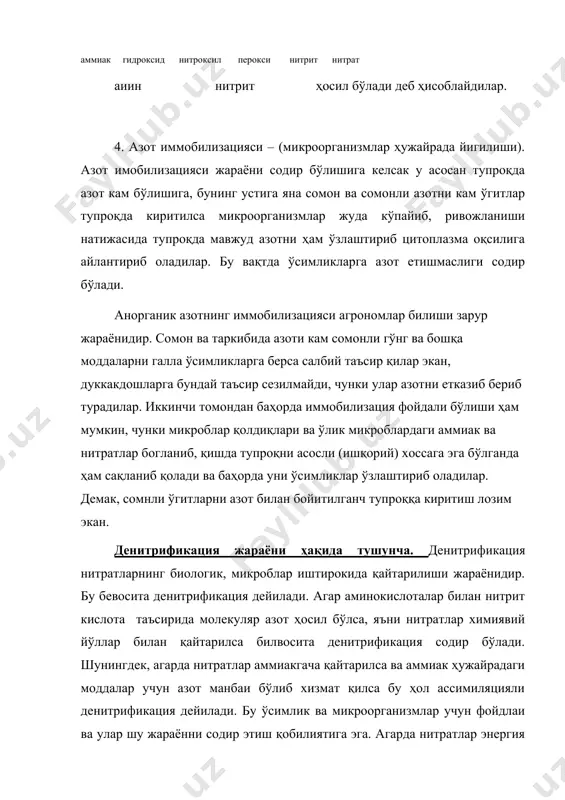 ганизмларни ва эркин азотнинг ўзлаштирилиши. молекуляр азотни ўзлаштирувчи микроорганизмлар аҳамияти ниҳоятда каттадир. атмосферадаги азот захираси битмас-туганмасдир. ернинг 1 км2 сатхидаги ҳавода 8 млн тонна азот мавжуд. аммо, буни ўсимликлар тўгридан-тўгри ўзлаштира олмайдилар. азотли ўгитларни жуда катта чиқим билан ишлаб чиқарилади. шунинг учун бу организмларнинг аҳамияти каттадир. азот ўзлаштирувчи микроорганизмни 1893 йилда с.н.виноградский ажратиб олган. бу анаэроб спора ҳосил қилувчи таёқчасимон микроб бўлиб бунга клостридиум деб ном берилди. 1901 йилда голанд микробиология м.бейеринк аэроб азотобактер ҳам молекуляр азот ўзлаштиришини аниқлади. ўсимликлар озиқланиши устида ишланган немис олимлари г.гельригель ва г.вильфарта дуккакли ўсимликлар илдизда туганак бактериялари мавжудлигини аниқладилар. ҳозирги кунга келиб эркин яшовчи азотобактериялар турли хиллари, олтингугурт бактериялари, қизил (пурпур) бактериялар, цианобактериялар ва бошқаларнинг молекуляр азотни ўзлаштириш аниқланган. дуккакдошларлардаги симбиоз мсикроорганизмларнинг ҳар хил ўсимликлардаги турлари, яшаш шароити, фаолияти ва аҳамияти кенг ўрганилгандир. илдиз туганак бактериялари ризобиум авлодига мансуб микроорганизмлар бўлиб ловияда р.фассоли, сояда р.тапоникум, мош, ерёнгоқда р.вигна ва х.зо турлари мавжуд бўлиб, ҳар …