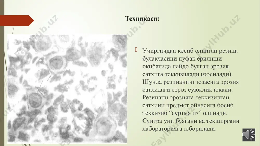 akantolitik hujayralarni diagnoslash uchun uslubiy qullanma - Page 3