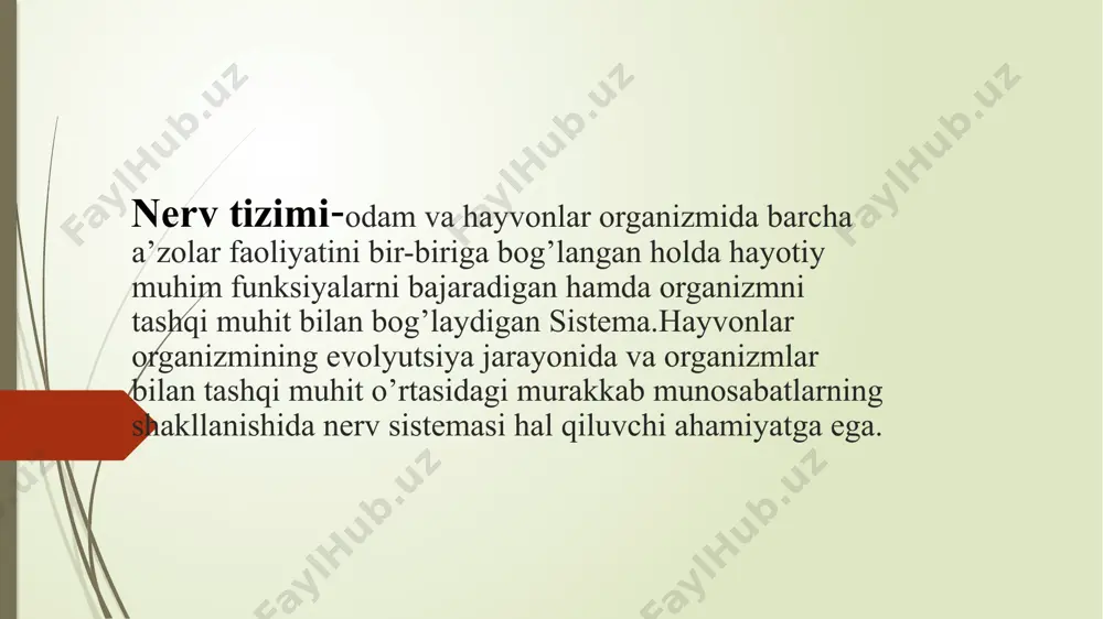 nerv tizimi va qarish - Page 3