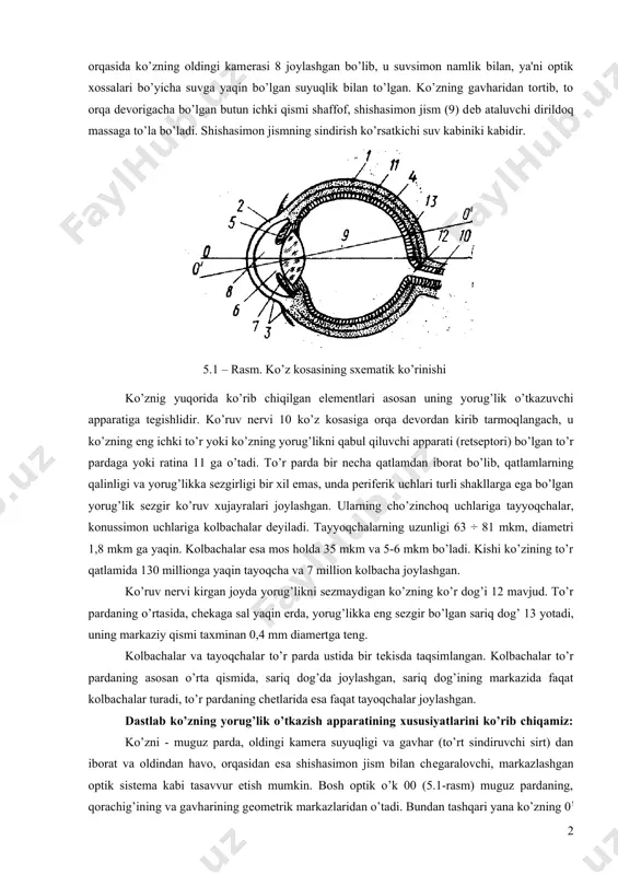 mirli qobiq 4 tutashgan bo’lib, uning ichki sirti ko’z ichida yorug’likning diffuzli sochilishiga to’sqinlik qiladigan xira qora pigmеntli hujayralar bilan qoplangan. ko’zning oldingi qismida tomirli qobiq 5 - rangdor pardaga aylanadi. bu pardada doiraviy tеshik – qorachiq 6 mavjud. ko’z qorachig’iga ko’zning ichki tomonidan, bеvosita ko’z gavhari 7 - ikki tomonlama qovariq linzaga o’xshash shaffof va elastik jism yondoshadi. ko’z gavharining diamеtri 8-10 mm, oldingi sirti egriligining radiusi o’rtacha 10 mm, orqa egriligining radiusi 6 mm gavhar moddasining singdirish ko’rsatkichi 1,4 dan kattaroq. muguz parda va gavhar orqasida ko’zning oldingi kamеrasi 8 joylashgan bo’lib, u suvsimon namlik bilan, ya'ni optik xossalari bo’yicha suvga yaqin bo’lgan suyuqlik bilan to’lgan. ko’zning gavharidan tortib, to orqa dеvorigacha bo’lgan butun ichki qismi shaffof, shishasimon jism (9) dеb ataluvchi dirildoq massaga to’la bo’ladi. shishasimon jismning sindirish ko’rsatkichi suv kabiniki kabidir. 5.1 – rasm. ko’z kosasining sxematik ko’rinishi ko’znig yuqorida ko’rib chiqilgan elеmеntlari asosan uning yorug’lik …