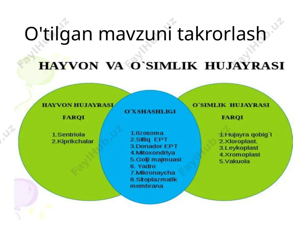 umurtqali hayvonlar - Page 4