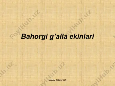 bahorgi g’alla ekinlari — PPT