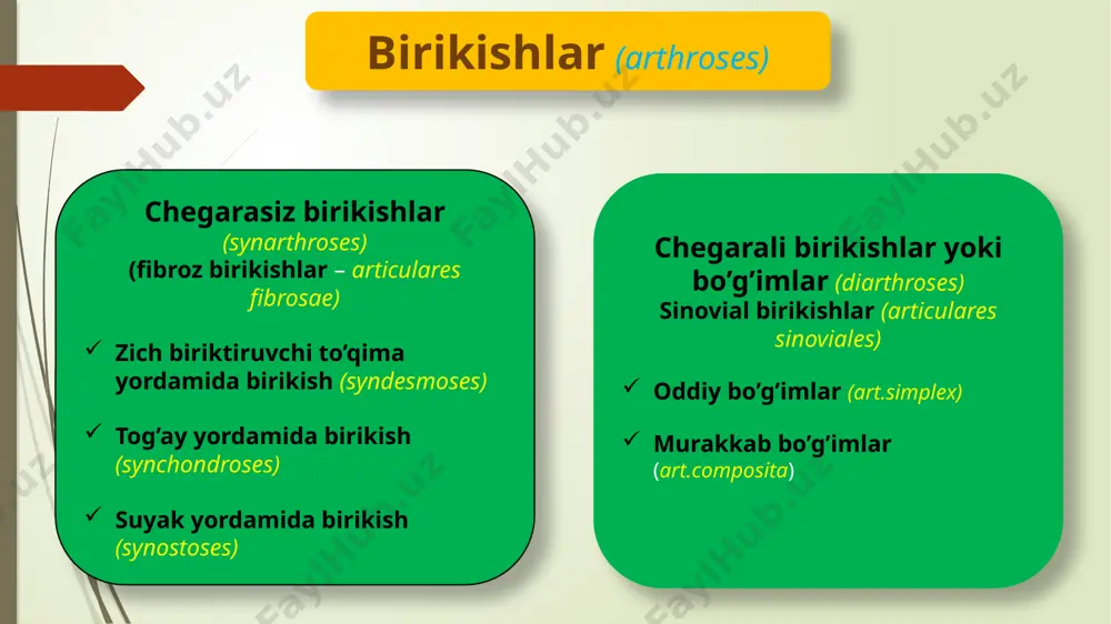 lar) 2. disklar (disci) gialin yoki tolali tog’adan iborat bo’g’im bo’shlig’ini ikki etajga ajratadi amortizator vazifasini bajaradi. 5. sinovial burmalari (plicae synoviales) bo’g’im yuzasini kengaytiradi 6. sinovial vorsinkalar (villi sinoviales) 7. sinovial sumkalar (bursae sinoviales) bo’g’imlar harakati quyidagi o’qlar atrofida amalga oshadi: sagittal o’q atrofida: uzoqlashtirish – abductio yaqinlashtirish - adductio vertikal o’q atrofida burilish (rotatio) tashqariga – supinatio ichkariga – pronatio frontal o’q atrofida bukish – flexio yozish - extensio uchala o’q atrofida aylana olsa aylanma harakat - circumductio bo’g’imlar klassifikatsiyasi shakliga qarab; silindrsimon bloksimon g’altaksimon ellipssimon sharsimon silliq harakatni bajarishda qatnashadigan bo’g’imlar soniga qarab: bir qancha bo’g’im kombinatsiyalashgan holatda (aricularia combinatorial) bitta bo’g’im qatnashsa – articularia acombinatoria bir o’q atrofida harakat qiluvchi ikki o’q atrofida harakat qiluvchi uch o’q atrofida harakat qiluvchi bo’g’im hosil qilishda qatnashayotgan suyaklar soniga qarab; oddiy bo’g’imlar (articulatio simplex) murakkab bo’g’imlar (articulatio composita) tana suyaklari birikishi erkin umurtqalar birikishi; tipik umurtqalar birikishi; atipik umurtqalar …