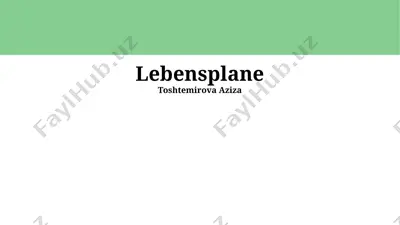 lebensplane — PPTX