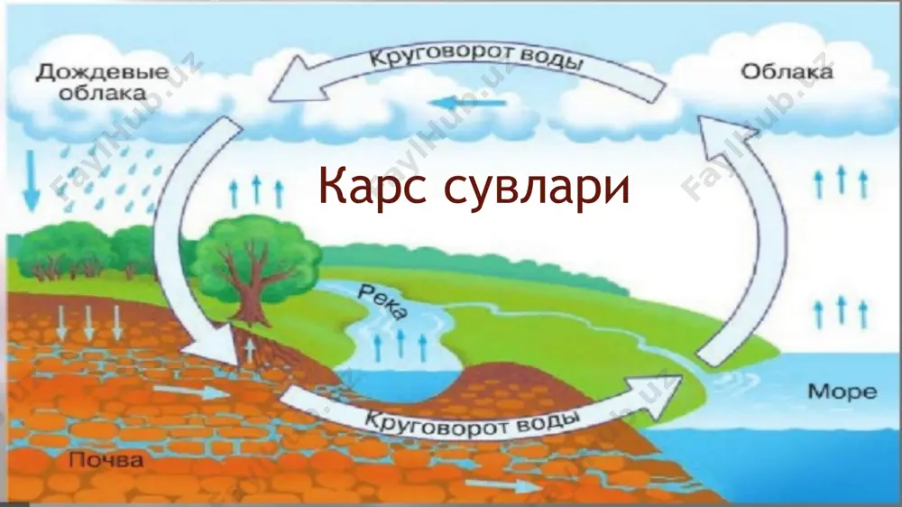шароитига қараб инфильтрацион, конденсатион, седиментацион ва ковенил сувларига ажратилади. бу сувлар тўғрисида юқорида маълумот берилди. ер ости сувлари тоғ жинслари қатламларида ётиш шароитига қараб қуйидаги турларга бўлинади: 1. ғовак сувлар-ер қобиғининг энг юқорига, юза қисмини ташкил қилувчи тоғ жинслари ғовакларидаги сувлар. бу сувлар асосан тўртламчи даврнинг аллювиаль, аллювиаль-пролювиаль генетик гуруҳидаги жинслар ғовакларини эгаллаб ётади; 2. ғовак-қатламли ва ёриқ-қатламли сувлари бўлиб, асосан неоген, палеоген, бўр, юра даврларининг ғовак (қум, шағал, алевролит ва б.қ.) ва ёриқлари бўлган ярим қоя (оҳактош, қумтош ва ҳ.к.) тоғ жинсларига хос ёриқ сувлар. бу сувлар харакат қилувчи қатламлар кўп холатларда юқори ва пастки қисми бўйлаб сув ўтказмайдиган тоғ жнслари (гил ва ёриқлари бўлмаган бошқа жинслар) билан тўсилган бўлади; 3. ёриқ сувлар-қоя тоғ жинслари (гранит, оҳактош, парфир, гранодиорит, туф ва ю.қ.) ёриқлари бўйлаб харакат қилувчи сувлар; 4. карст сувлар-асосан оҳактошларда, гипсларда, тузли жинсларда, уларни ювилиш оқибатида вужудга келадиган бўшлиқлар-карст бўшлиқлари орқали харакат қилувчи сувлар; 5. ёриқ томир сувлар …