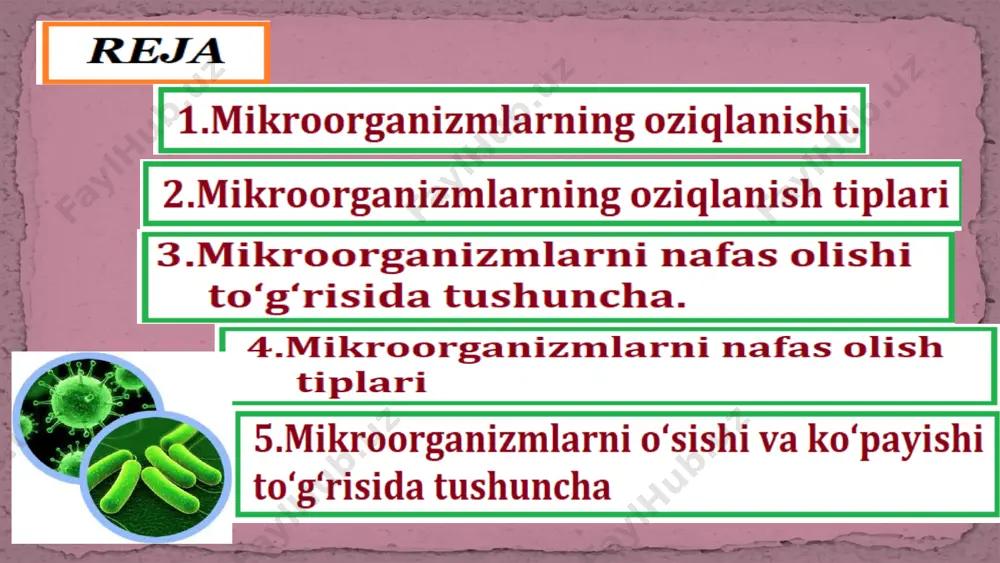 nizm hujayrasini qurishi uchun kerak bo‘lgan hamma elementlar, mikroorganizm o‘zlashtiradigan oziqa moddalarning mikroorganizm hujayrasiga kirishi. holatda bo‘lishi kerak. suvda erigan oziqa moddalari bakteriya hujayrasiga har xil usullar yordamida kiradi. hujayraga ularning o‘tishida hujayra devori barerlik vazifasini bajarsa, sitoplazmatik membrana aktiv tanlovchi rolini o‘ynaydi. oziqlanish tipiga ko‘ra, mikroorganizmlar juda xilma-xil guruhlarga bo‘linadi va quyidagi atamalar bilan nomlanadi: geterotroflar – faqat tayyor organik birikmalardan uglyerod manbalari sifatida foydalanadi. geterotroflar (organotrof) ikkita katta guruhga bo‘linadi: 1.saprofitlar. (metatrof) 2.parazitlar (paratrof) mikroorganizmlarning oziqlanish tiplari geterotroflar (organotrof) ikkita katta guruhga bo‘linadi: parazit (parasitos) lotincha so‘z bo‘lib, boshqa tirik organizmlarning sathida yoki ichida yashab, shu tirik organizm hisobidan oziqlanadi. saprofit – (sapros - chirish va phyton- o‘simlik) lotincha so‘z bo‘lib, o‘lgan substratlarda yashaydi, degan ma’noni bildiradi. tayyor organik birikmalardan foydalanadi va yer yuzidagi mikroorganizmlarning ko‘pini tashkil qiladi. 9 avtotrof (o‘z-o‘zini ovqatlantiruvchi) tipida ovqatlanish kerakli energiyani va uglerodni organik moddalardan o‘zi oladigan mikroorganizmlarga xosdir. bularga tuproqdagi ba’zi mikroorganizmlar …