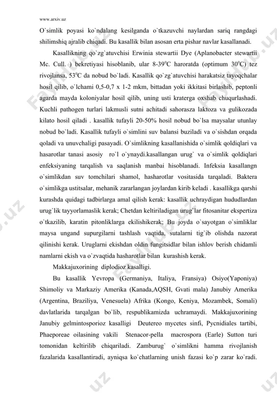 liklar maysa ungand supurgilarni tashlash vaqtida, sutalarni tig`ib olishda nazorat qilinishi kerak. uruglarni ekishdan oldin fungitsidlar bilan ishlov berish chidamli namlarni ekish va o`zvaqtida hasharotlar bilan kurashish kerak. makkajuxorining diplodioz kasalligi. bu kasallik yevropa (germaniya, italiya, fransiya) osiyo(yaponiya) shimoliy va markaziy amerika (kanada,aqsh, gvati mala) janubiy amerika (argentina, braziliya, venesuela) afrika (kongo, keniya, mozambek, somali) davlatlarida tarqalgan bo`lib, respublikamizda uchramaydi. makkajuxorining janubiy gelmintosporioz kasalligi deutereo mycetes sinfi, pycnidiales tartibi, phaeporeae oilasining vakili stenacor-pella macrospora (earle) sutton turi tomonidan keltirilib chiqariladi. zamburug` o`simlikni hamma rivojlanish fazalarida kasallantiradi, ayniqsa ko`chatlarning unish fazasi ko`p zarar ko`radi. belgilar pastki yurusdagi bargning paraler tomirlariga parallel joylashgan har xil shakldagi dog`larda ko`p miqdordagi peknideyalarni ko`rish mumkin . dog`larning uzunligi 5 sm, kengligi 1 sm bo`lib, kasallik kuchli tarqalgan davrlarda dog`lar birlashib keng yuzadagi nobud bo`lgan to`qimalarni hosil qiladi. shunday belhilar poyada kuzatilganda uning bo`g`in oraliqlari jiharrangda bo`lib poyaning sinib ketishiga sabab bo`ladi. kasallik so`tani rivojlanishning dastlabki …