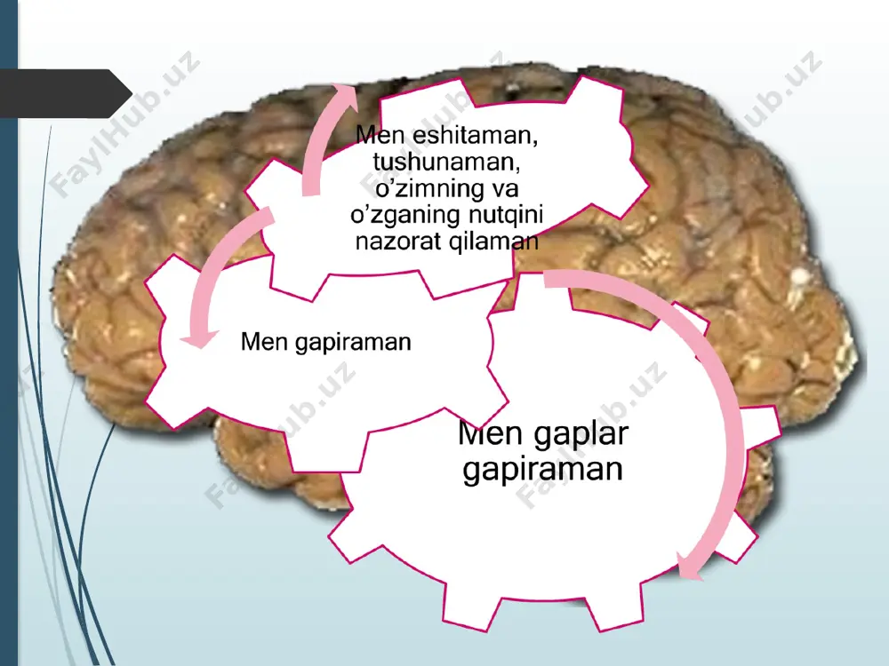 ortib borishi natijasida vujudga kelgan eshitish-nutq xotirasining pasayishiga asoslanadi. nutqiy xotiraning buzilishi asosiy nuqchon boʼlib, bu holatda fonematik idrok va nutqning artikulyator tomoni jarohatlanmaydi. ekspressiv nutq gaplarni hosil qilishga kerakli boʼlgan soʼzlarni tanlashdagi qiyinchiliklar bilan tavsiflanadi. аgrammatizm elementlari ogʼzaki nutqga qaraganda yozma nutqda koʼproq uchraydi. oʼqilayotgan matnni tushunishda qiyinchiliklar yuzaga keladi. buning sababi shundaki, bosma matn juda uzun jamlalardan iborat boʼlib, oʼqilgan matnni xotirada saqlash eshitish-nutq xotirasini saqlanganligini talab qiladi. optik afaziya, optik-gnostik komponentlarning zaifligi, nominativ funktsiyalarning buzilishi kuzatiladi. nutqiy boʼtqalar kuzatilmaydi аmnestik-semаntik аfаziya nutq boʼyicha dominant yarim sharning tepa-ensa qismidagi jarohat natijasida 39 соҳа жароҳатланади kerrakli soʼzlarni qidirishda yoki ixtiyoriy predmetni nomlashda anamnestik qiyinchiliklar paydo boʼladi. predmetni nomlashni oʼrniga bemorlar uning sifatlarini ayta boshlaydilar yoki boshqa soʼz bilan almashtirishadi. (verbal parafraziya), soʼzni butun bir ibora bilan almashtiradi. oldi qoʼshimchalar va qoʼshimchalar orqali ifodalangan soʼzlarning murakkab semantik va grammatik munosabatlarini tushunish jarayonining buzilishi impressiv agrammatizm leь nomlanadi. 2. ekspressiv nutq …