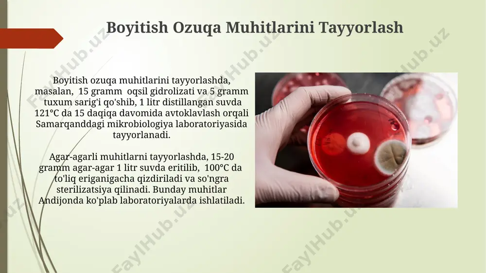 bakteriologik oziqa muhitlar tayyorlash - Page 4