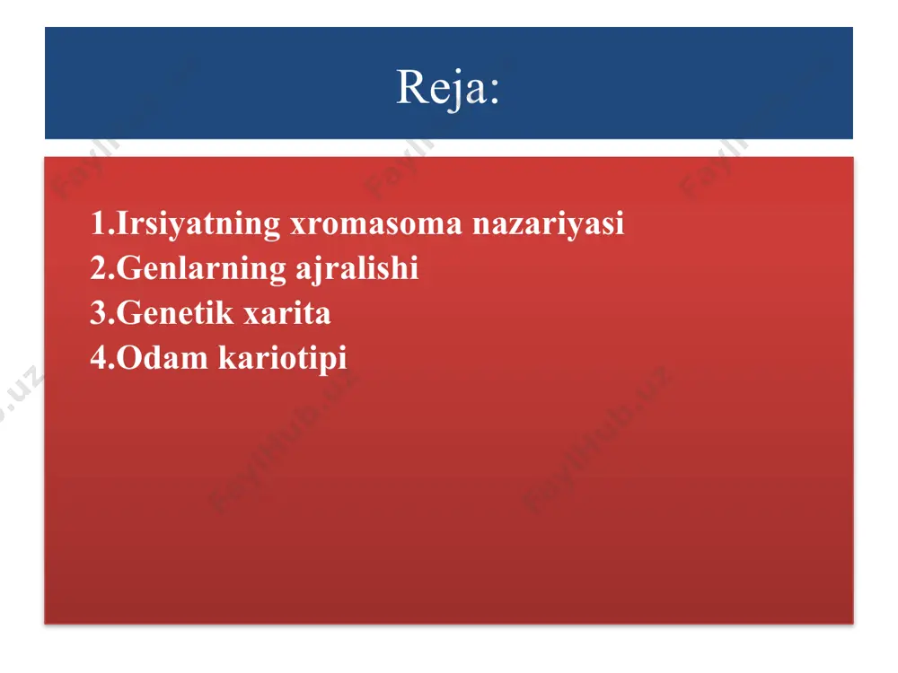 sida quyidagi xulosaga keldi. 1. agar ikki juft genlar, ya'ni 4 ta gen 4 ta xromosomada joylashgan bo'lsa, jinsiy hujayralarning hosil bo'lishida bu genlarning har biri alohida-alohida gametalarga tushadi va mustaqil holda nasldan-naslga o'tadi. 2. agar ikki juft allel genlar gomologik xromosomalarda, ya'ni 2 ta gen bitta xromosomada joylashgan bo'lsa, bu genlar keyingi avlodga birgalikda, ya'ni bir-biriga birikkan holda o'tadi. bunga genlarning to'liq birikkanligi deyiladi. shunday qilib, genlarning keyingi avlodlarda mustaqil taqsimlanishini faqat genlar har xil xromosomalarda joylashganda kuzatish mumkin ekan. mendel no'xatda o'tkazgan o'z tajribalarida genlarning birikkan holda o'tishini kuzatmadi, chunki u tajribada o'rgangan belgilarni har xil xromosomalarda joylashgan genlar yuzaga chiqargan. genlarning birikishi birikkan gen guruhlari bir-birlaridan genlarning soniga qarab farq qiladi. agar xromosomaning o'lchami katta bo'lsa, undagi irsiy omil (gen) ham ko'p bo'ladi, kichik bo'lsa, genlar ham kam bo'ladi. drozofil pashshasining 3 ta katta va bitta kichik xromosomasi bor . drozofil pashshasida birikkan genlarning 4 ta guruhi …