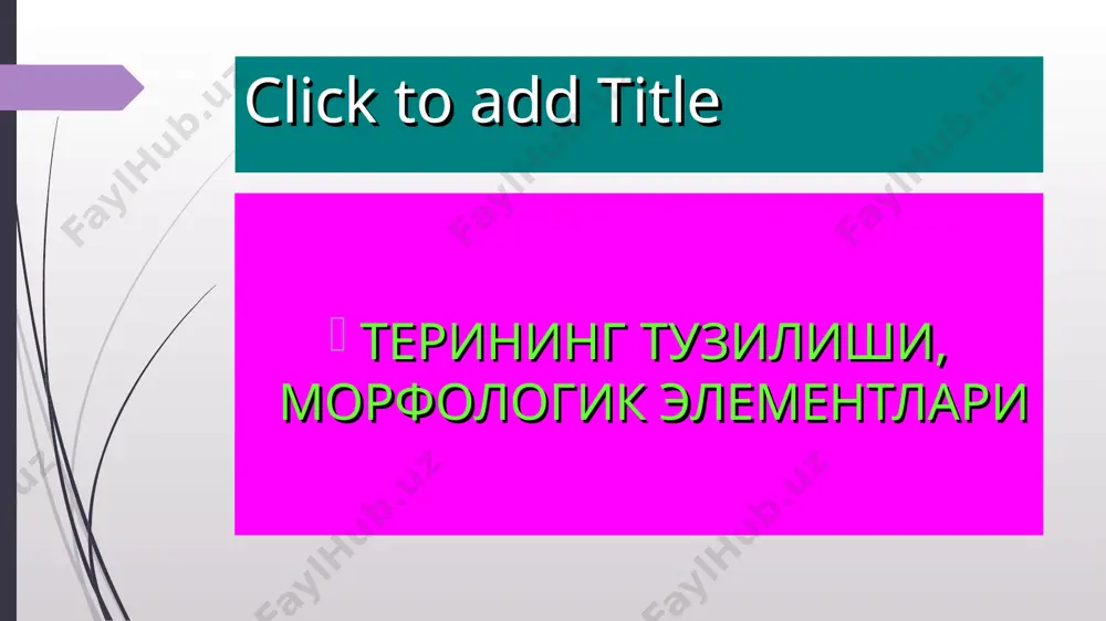 н томирлари, нерв толалари, тер безлари,ёғ безлари, силлиқ мускул толалари, соч фолликулалари кабилар тўлдириб туради. тери ости ёғ клетчаткаси дерма аниқ чегарасиз тери ости ёғ қатламига (клетчаткага) ўтади. бу қатлам ёғ хужайралари тўпламидан иборат бўлиб, улар асл тери қаватининг тўрсимон қаватидан давом этган толали тўқималарнинг бир бирлари билан кесишиб, хосил қилишган катакчаларда жойлашадилар. бириктирувчи тўқима толалари шунингдек ичкарига йўналишда давом этиб, тери фасциясини хосил қилади, бу фасция остидаги мускул апоневрози билан ёки суяк пардаси билан бирикиб кетади. терининг хосилалари терининг хосилаларига сочлар, ёғ безлари, тер безлари ва тирноқлар кирадилар. сочда стержень ва ўзак тафовут қилинади. соч ўзаги соч қопчасининг (фолликуласининг) пиёзчасида тугайди. соч қопчасининг ички қавати эпителийдан, ташқи қавати бириктирувчи тўқимадан иборат. соч қопчасининг юқориги 1/3 қисмига ёғ безларининг чиқарув йўли очилади. ёғ безлари альвеоляр тузилишга эга,уларниг чиқарув йўллари соч фолликуласининг юқориги 1/3 қисмига ёки бевосита тери сатхига очилади. тер безлари апокрин ва эккрин турлари мавжуд. улар оддий трубка шаклидаги …