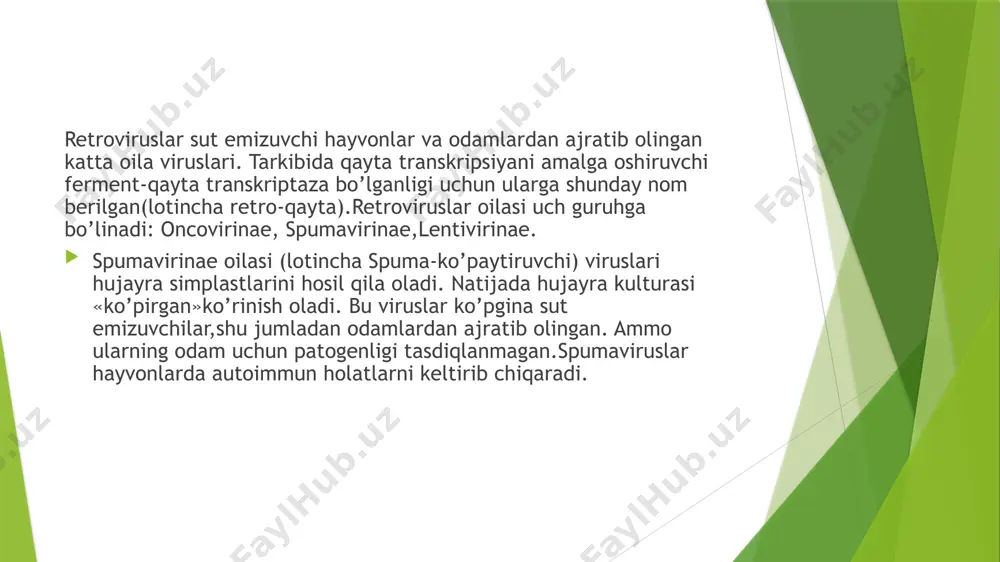 n bemorlardan 1983-yili bir-biridan mustaqil ravishda fransiyada l.montaneva aqsh da r.gallolar ajratib oladilar va lav (iymphadenopathyassociated virus) limfadenopatiya qo’zg’atuvchi virus yoki htlv-iii deb atadilar. 1986-yili xalgaro taksonomiya komitetining qaroriga ko’ra unga hiv(human immundefciency virus) deb nom berildi.bu qo’zg’atuvchining kashf qilinishiga qadar r.gallo hamkasblari bilan birgalikda t-limfotsit kulturasidan odamlardagi t-limfotrop retroviruslarini ajratib oladi. ularning biri htiv-1 (inglizcha human t-lymphotropicvirus type 1) bo’lib, odamlarda xavfli t-leykozni qo’zg’atadi. ikkinchisi htiv-ii t-hujayra leykozi va limfoma qo’zg’atuvchisi hisoblanadi.ajratib olingan oiv yoki htiv-iii oldingi htiv-i va htiv-ii lardan ayrim xususiyatlari bilan farq qiladi. masalan, oiv faqat t-xelper va efektorlarda,ya’ni t4 limfotsitlarda yaxshi ko’payadi, ammo t-supressor va killerda,ya’ni t5 limfotsitlarda ko’paymaydi.shunday qilib, uchta limfotrop virus topildi, shulardan bittasi oits ni qo’zg’atuvchi ekanlgi isbotlandi va odam immun tanqisligining virusi oiv deb nom oldi. morfologiyasi.oiv haqiqiy retrovirus bo’lib,murakkab tuzilishga va kimyoviy tarkibga ega. virionlar sferik shaklda bo’lib, diametri 100-120nm, ular tuzilishiga ko’ra boshqa lentiviruslarga yaqin.virionning tashqi qobig’i ikki qavatli …