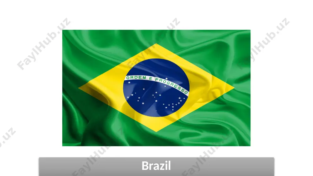 ded into 26 states and the federal district (distrito federal), the latter including the capital city, brasília. since 1934 the nation has had universal suffrage. in 1988 brazil promulgated a new constitution—the eighth since the country’s independence in 1822—that abolished many traces of the military regime (1964–85), defined civil rights, and outlined the functions of the executive, legislative, and judicial branches. it restricted the president’s power to legislate, proscribed government censorship of the arts, condemned the use of torture, prohibited extradition for political crimes, set the minimum voting age at 16 years, and allowed the federal government to intervene in state and local affairs. the constitution has been amended several times since its promulgation, but some of the changes have been temporary, with specifically designated timespans. strengths ✅ ✅ rich natural resources – brazil has vast reserves of iron ore, oil, natural gas, and agricultural products, making it a global …