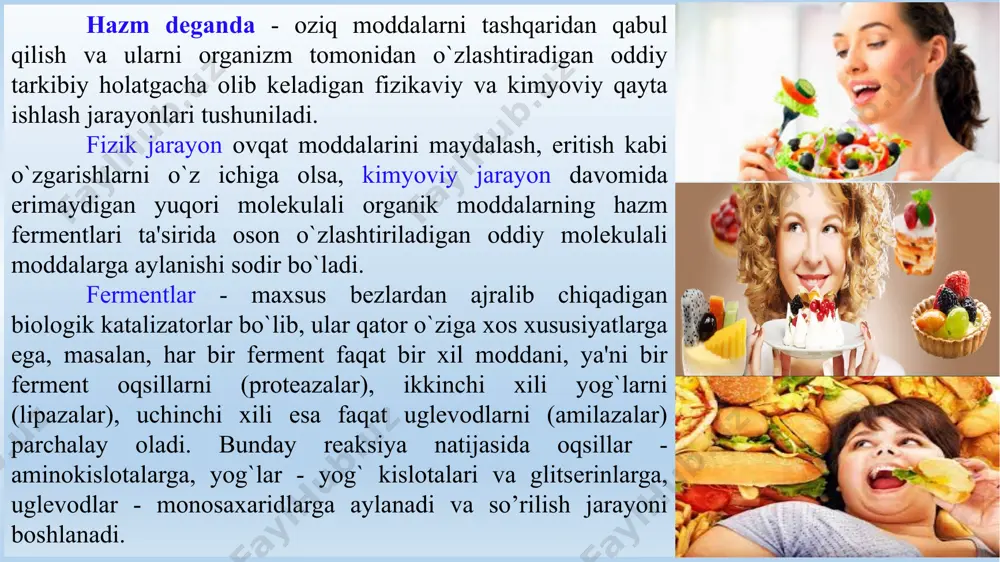 da birinchi kichik oziq tish, 13-16 yoshda katta og’iz tish, 11-15 yoshda ikkinchi oziq tish, 18- 30 yoshda uchinchi oziq tishlar chiqa boshlaydi. sut tishlar tushib doimiy tishlar chiqa boshlagan davrda bolalarga uxlashdan oldin tishni tish cho‘tkasi va pastasi bilan tozalash, ovqatlangandan so‘ng og’izni iliq suv bilan chayishga o‘rgatish kerak. juda sovuq yoki juda issiq ovqat yeyish, qattiq narsalarni tishda chaqish nihoyatda zararli, buni aslo unutmaslik kerak. me'dada ovqatni hazm bo`lishi. me'da hazm yo`lining kengaygan bo`limidir. u bolalalarda xilma-xil shaklda: retortasimon, naysimon, oval, yumaloq, yassi bo`lishi mumkin. 7-11 yoshda me'da kattalarnikiga xos shaklga ega bo`ladi. chaqaloq bola me'dasining hajmi 50 sm3, bir yoshga etganda 250-400, 10 yoshda oshqozon hajmi taxminan 750-800 sm3ga, katta odamda 1500-2000 sm3 ga yetadi. erkaklar me'dasining hajmi ayollarnikidan birmuncha katta bo`ladi. me'da tashqi tomondan seroz parda yoki qorin pardasi bilan o`ralgan, ovqat me'daga tushgandan keyin uzunasiga ketgan va qiyshiq muskullar qisqarib, ovqat massasini zich qamrab oladi …