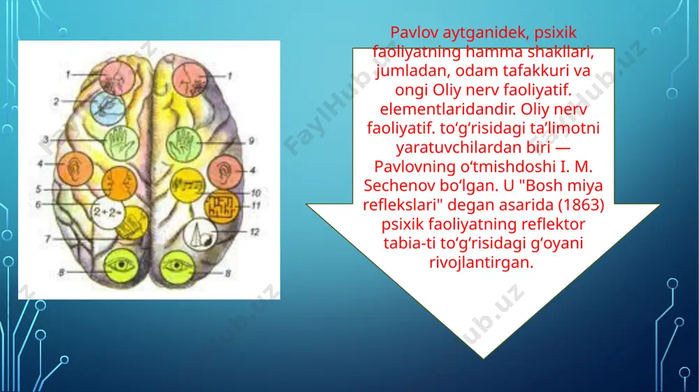 ob berish qobiliyati esa q o ‘zg ‘alish deb ataladi. qo‘zg‘alish oichovi bo‘lib, uni chaqira oladigan qo‘zg‘atuvchining minimal kuchi xizmat qiladi. bu qo‘zg‘aluvchanlikning bo‘sag‘asidir. e’tiboringiz uchun raxmat! image2.png image3.jpeg image4.png image5.jpeg image6.png image7.png image8.jpeg image9.png image10.png image11.jpeg image12.png image13.jpeg image14.png image15.png image16.png image17.png image18.png