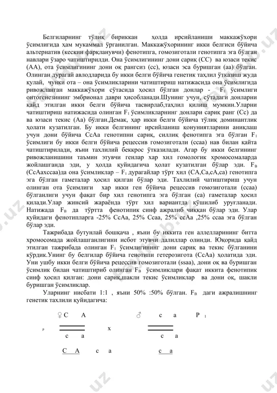 р эди. тахлилий чатиштириш учун олинган ота ўсимлиги хар икки ген бўйича рецессив гомозиготали (ссаа) бўлганлиги учун фақат бир хил генотипга эга бўлган (са) гаметалар ҳосил қилади.улар жинсий жараёнда тўрт хил вариантда қўшилиб уруғланади. натижада fb да тўртта фенотипик синф ажралиб чиққан бўлар эди. улар қуйидаги фенотипларга -25% ссаа, 25% ссаа, 25% ссаа ,25% ссаа эга бўлган бўлар эди. тажрибада бутунлай бошқача , яъни бу иккита ген аллелларининг битта хромосомада жойлашганлигини исбот этувчи далиллар олинди. юқорида қайд этилган тажрибада олинган f1 ўсимлигининг дони сариқ ва текис бўлганини кўрдик.унинг бу белгилар бўйича генотипи гетерозигота (ссаа) ҳолатида эди. уни ушбу икки белги бўйича рецессив гомозиготали (ssaa), дони оқ ва буришган ўсимлик билан чатиштириб олинган fb ўсимликлари фақат иккита фенотипик синф ҳосил қилган: дони сариқ,шакли текис ўсимликлар ва дони оқ, шакли буришган ўсимликлар. уларнинг нисбати 1:1 , яъни 50% :50% бўлган. fb даги ажралишнинг генетик тахлили қуйидагича: ♀ c a ♂ c a …