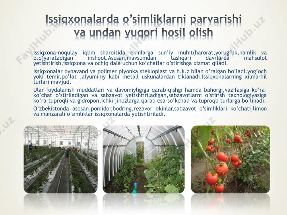 niy sulfat, 15 g temir limonit, 2 g marganets sulfat, 1 g dan mis va rux sulfat tuzlari, 2 g bura eritilishi lozim. ayni retsept bo‘yicha tayyorlanadigan oziq aralashma qish paytida 150 mg/l n, 150 mg/l p2o5 va 450 mg/l k2o tutsa, bahor va yoz paytida (apreldan boshlab) azot dozasi 225 mg/l ga qadar oshiriladi. aralashma tarkibidagi azot, fosfor va kaliyning miqdori bir oyda bir marta, ph i esa har haftada tekshirib boriladi. hosil to‘plash davrida, tahlil natijalarini kutib o‘tirmasdan o‘simlik turiga bog‘liq ravishda npk dozasi har haftada quyidagi miqdorda (gg‘o‘simlik ) oshirib boriladi: bodring - n - 3,5; r2o5 - 3,0; k2o - 7,5; pomidor - n - 1,0; r2o5 - 1,3; k2o - 2,5; salat - n - 0,17;r2o5 -0,2; k2o - 0,42. bu tadbirni tez va soz o‘tkazish uchun yuqori konsentratsiyali eritma tayyorlanadi va uni suyultirib, zarur konsentratsiyaga keltiriladi. agar oziq aralashmadan uzoq muddat foydalanishga to‘g‘ri kelsa, …