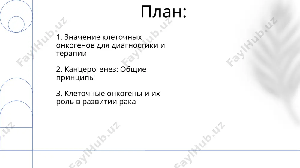 kantserogenez i znachenie kletochnix onkogenov - Page 2