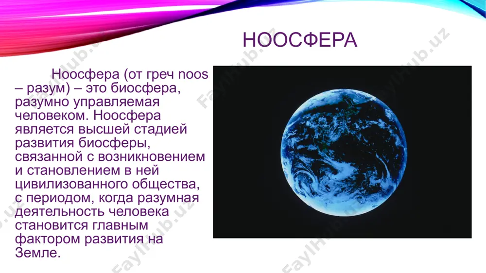 концепция ноосферы в.и. вернадского - Page 4