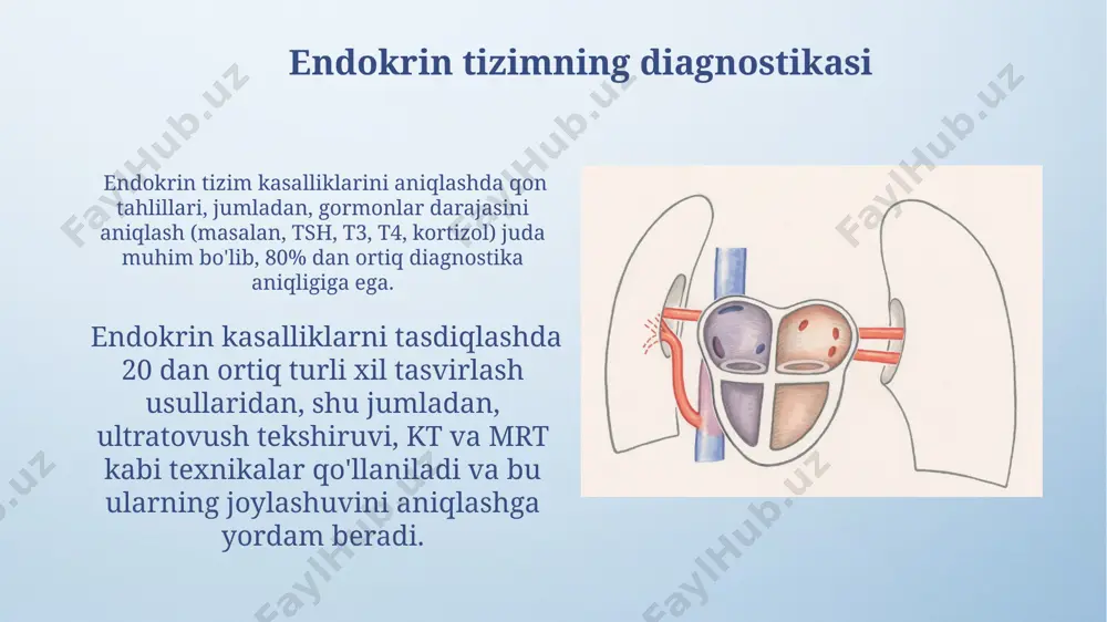 i salbiy teskari aloqa, masalan, qondagi glyukoza miqdori 100 mg/dl dan oshganda, insulin ishlab chiqarishni kuchaytirish orqali qondagi shakar miqdorini normallashtiradi, bu esa glyukoza darajasini pasaytiradi. prolaktin gormoni sut bezlarida sut hosil boʻlishini ragʻbatlantiradi, sut emizish esa prolaktin ishlab chiqarishni oshiradi, bu musbat teskari aloqa misolidir va 2-3 kun ichida sut miqdorini koʻpaytiradi. gormonlarning qon oqimiga ta'siri ba'zi gormonlar, masalan, qalqonsimon bez gormonlari, oqsil tashuvchilar bilan bog'lanib, qon oqimida uzoqroq saqlanib, yarim chiqish davri 7 kunlargacha yetishi mumkin. gormonlar qon oqimiga tushgandan so'ng, ularning konsentratsiyasi qon plazmasida 10⁻⁹ dan 10⁻¹² m gacha o'zgarib turadi va ma'lum hujayralarni nishonlab, ularning faoliyatini aniq boshqaradi. endokrin tizimning davolash usullari endokrin tizim kasalliklarini davolashda gormonal terapiya, ya'ni gormonlar yetishmasligini yoki ortiqcha bo'lishini to'ldirish yoki kamaytirish orqali 80% hollarda samarali natijalar beradi. jarrohlik amaliyoti, masalan, gipertireozda qalqonsimon bezning bir qismini olib tashlash yoki o'sma o'sishini to'xtatish uchun qo'llaniladi, bu esa 15% gacha bo'lgan hollarda zarur …