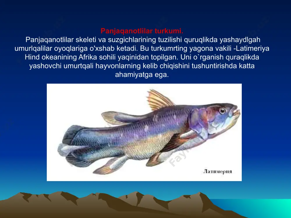 suyakli baliqlar sinfi - asosiy sistematik guruhlari va ahmiyati - Page 5