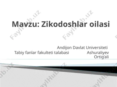 zirkdoshlar oilasi — PPTX