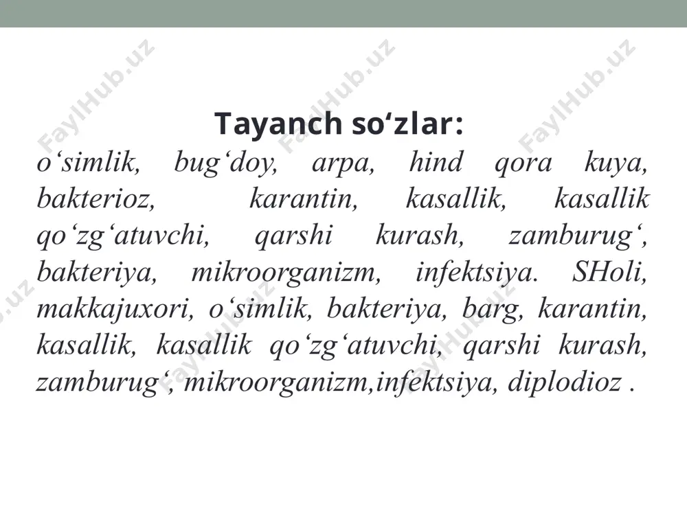 bug'doy, arpa, sholi va makkajuxori kasalliklari - Page 3