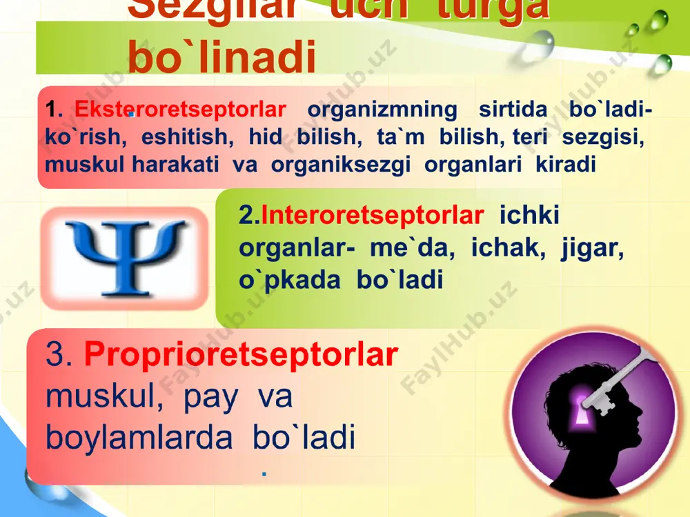 bilish jarayonlari va faoliyat psixologiyasi - Page 5