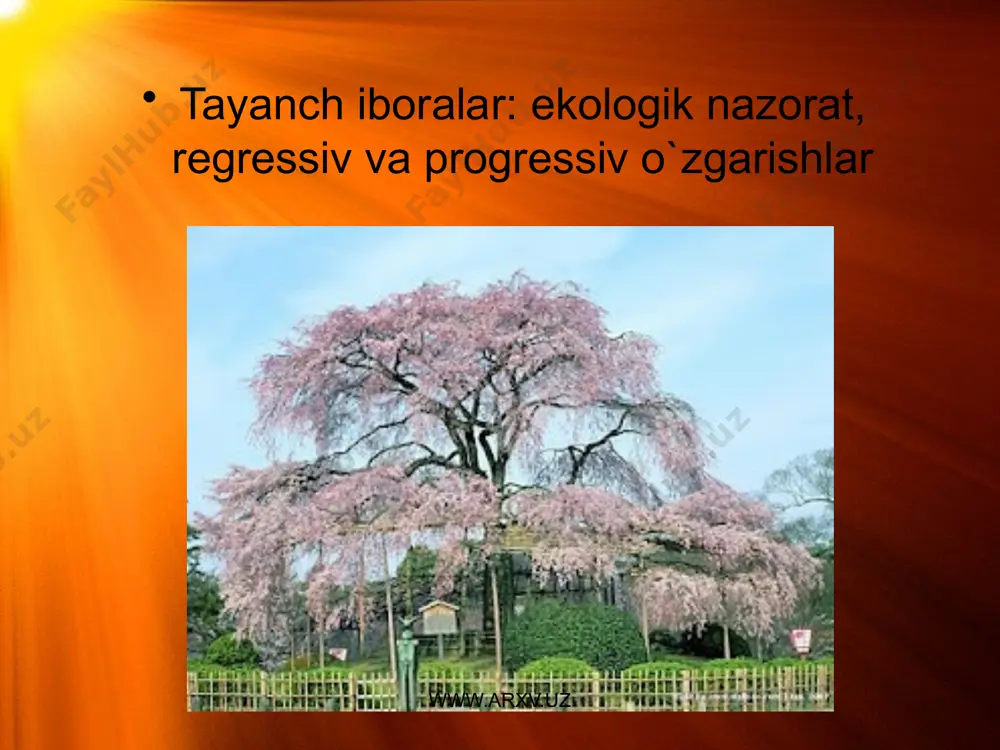 iqish desa bo`ladi. bu borada bmt ning asosiy vazifasi quyidagilardir: sayyoramizdagi tabiatni muhofaza qilishni uzoq yillik (2000 yil va undan keyingi uzoq davr) strategiyasini ishlab chiqish; tabiatni muhofaza qilish borasida mamlakatlar o`rtasida hamkorlik o`rnatish, bunda har bir mintaqa yo mamlakatni tabiiy resurslari bilan aholisi soni o`rtasidagi bog`liqlikni hisobga olish; xalqaro hamjamiyat mamlakatlarning ekologik muammolarni yechishni samarali usullarini va imkoniyatlarini topish; tabiatni muhofaza qilish borasida mamlakatlarga yordam ko`rsatish; biz shunday davrda yashayapmizki bmt, siyosatshunoslar, soha mutahasislari u yoki bu muammolarning yechimi hamkorliklarni markazlashtirish orqali ish tutishni taqozo etmoqda. bu borada bmt, uning bosh sekretari va bo`lim xodimlari oldida ulkan vazifalar turibdi. www.arxv.uz www.arxv.uz hozirgi zamonda davlatlarni hamkorlikka chaqirish muhim masaladir. ikkinchi jaxon urushidan keyin ko`p mamlakatlarni iqtisodiy hamkorligi, ularni rivojlanishiga olib keldi, endilikda esa ekologik hamkorlikni amalga oshirish dolzarb muammoga aylandi. 60-yillarda tabiiy boyliklari ko`p bo`lgan mamlakatlarning koloniyadan ozod bo`lishi, ularni taraqqiy etishiga umid bog`lanadi, ammo bu mamlakatlarni milliy izolyatsiyalanishi ularni …