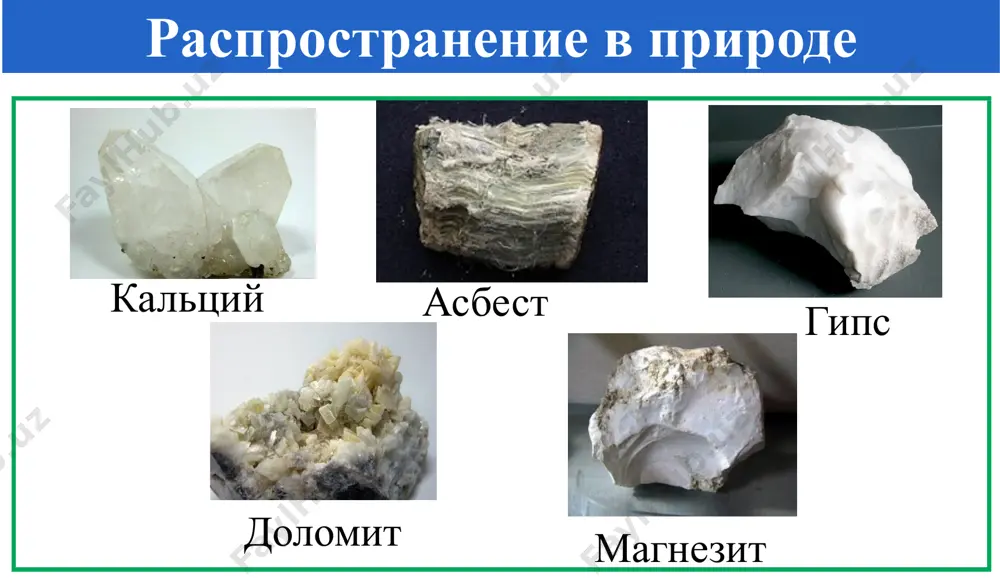 и. кейс вопросы какой металл горит в воде? 2. напишите уравнение реакции горения металла в воде. 3. как вы потушите огонь? лабораторная работа. добавить капельку воды на mg + agno3 (вспышка) 3mg + agno3 = 3mgo + 0,5n2 + ag кейс составить уравненя реакции по следующей схеме : мg → мgо → мg(он)2 → мgsо4 сасо3 → саo → ca(oh)2 → сасо3 самостоятельная работа спасибо за внимание image1.png image2.png image3.png image4.jpeg image5.jpeg image6.png image7.png image8.png image9.png image10.png image11.jpeg image12.png image13.jpeg image14.png image15.png image16.png audio1.wav image17.png image18.jpeg image19.jpeg image20.png image21.jpeg image22.png image23.png image24.png image25.png image26.png image27.jpeg image28.png image29.jpeg image30.png image31.png image32.png image33.jpeg image34.png image35.png image36.png image37.png