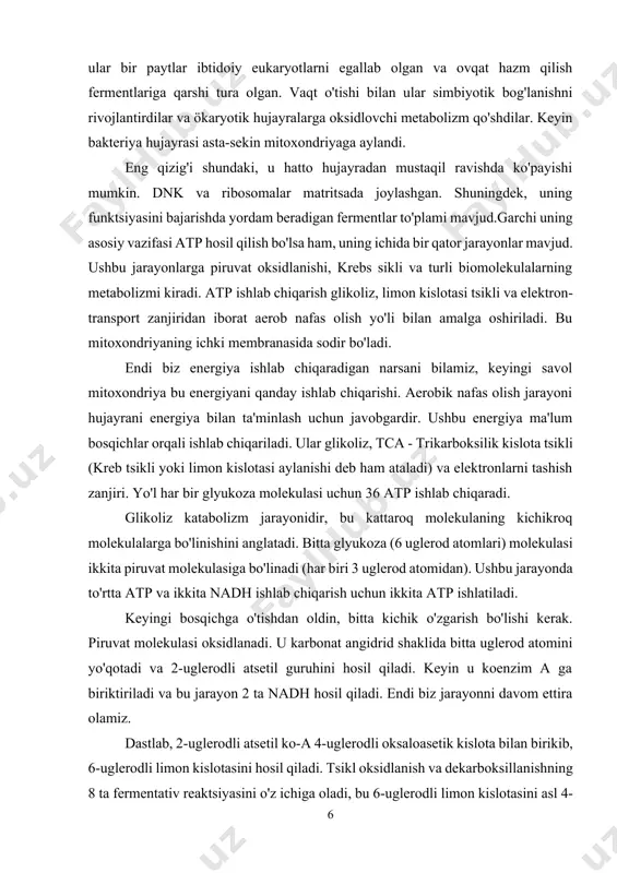 unktsiyasini bajarishda yordam beradigan fermentlar to'plami mavjud.garchi uning asosiy vazifasi atp hosil qilish bo'lsa ham, uning ichida bir qator jarayonlar mavjud. ushbu jarayonlarga piruvat oksidlanishi, krebs sikli va turli biomolekulalarning metabolizmi kiradi. atp ishlab chiqarish glikoliz, limon kislotasi tsikli va elektron-transport zanjiridan iborat aerob nafas olish yo'li bilan amalga oshiriladi. bu mitoxondriyaning ichki membranasida sodir bo'ladi. endi biz energiya ishlab chiqaradigan narsani bilamiz, keyingi savol mitoxondriya bu energiyani qanday ishlab chiqarishi. aerobik nafas olish jarayoni hujayrani energiya bilan ta'minlash uchun javobgardir. ushbu energiya ma'lum bosqichlar orqali ishlab chiqariladi. ular glikoliz, tca - trikarboksilik kislota tsikli (kreb tsikli yoki limon kislotasi aylanishi deb ham ataladi) va elektronlarni tashish zanjiri. yo'l har bir glyukoza molekulasi uchun 36 atp ishlab chiqaradi. glikoliz katabolizm jarayonidir, bu kattaroq molekulaning kichikroq molekulalarga bo'linishini anglatadi. bitta glyukoza (6 uglerod atomlari) molekulasi ikkita piruvat molekulasiga bo'linadi (har biri 3 uglerod atomidan). ushbu jarayonda to'rtta atp va ikkita nadh …