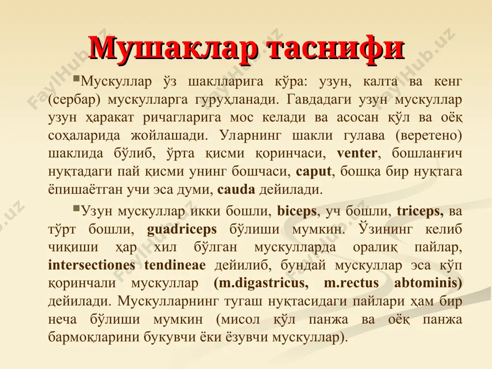 г орқа қисмидан ва пастки 4 та қовурғалардан бошланиб, елка суягининг кичик дўмбоғи қирраси, crista taberculi minoris гa ёпишади. ўзининг бошланиш соҳасида fascia thoracolumbalis га ёпишган кенг апоневрозни ҳосил қилади. 1. trapetsiaysimon mushak boshlanishi: ensa suaygi, vii bo’yin va barcha ko’krak umurtqalarining qirrali o’simtalari. birlashishi: o’mrov suyagi, kurak suyagining qirrasi va akromion o’simtasi. vazifasi: kurakni umurtqa pog’onasiga yaqinlashtiradi, kurak qimirlamay turganda yuzni qarama-qarshi tomonga buradi, ikki tomonlama qisqarganda boshni orqaga tashlaydi . 2. orqaning serbar mushagi boshlanishi: vii-xii ko’krak va barcha bel umurtqalarining qirrali o’simtalari, 3-4 ta pastki qovurg’alar, yonbosh suyagining qirrasi, dumg’aza suyagi birlashishi: yelka suyagi vazifasi: yelkani yaqinlashtiradi va ichkariga buradi, qo’l qimirlamay turganda tanani qo’lga yaqinlashtiradi орқанинг юза мускуллари. вазифаси: елкани ёзади ва пронация қилади ва узоқлаштирилган қўлни яқинлаштиради. маҳкамланган қўлда кўкрак қафасини кенгайтиради (мисол: арқонда кўтарилганда). m.rhomboideus, ромбсимон мускул, m.trapezius нинг остида ётади. шакли ромбга ўхшайди. пастки икки бўйин сvi-сvii ва юқориги тўрт thi-thiv кўкрак умуртқаларининг …