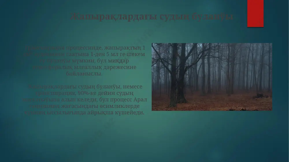 o'simliklarda transpiratsiya protsesi - Page 5