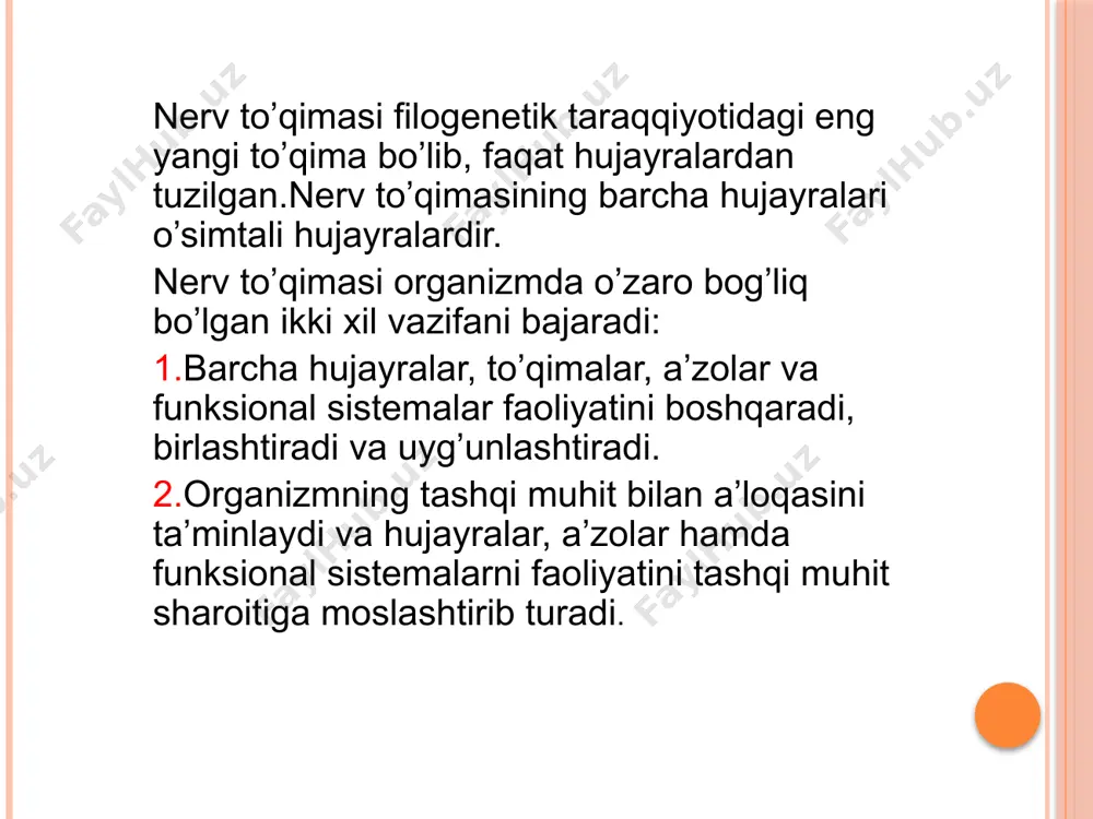 chi kulrang modda ( substantia grisea ) joylashgan. kulrang moddaning shakli orqa miyaning turli bo’limlarida o’zgaradi. orqa miya ko’ndalang kesimining har bir yarmida ol-dingi va orqa shoxlar, 8-bo’yin va 3-bel segmentlari sohasida esa yon shoxlar tafovut etiladi. orqa miyaning kulrang moddasi nerv hujayralaridan, miyelinsiz va nozik miyelinli tolalardan hamda neyrogliyadan iborat. kulrang modda neyritlari orqa miyadan chiqib ketuvchi oldingi shoxlardagi mul’tipolyar ildizcha hujayralari, o’simtalari kulrang moddadan chiqmasdan sinapslar hosil qilib tugallanuvchi ichki hujayralar va aksonlari orqa miyaning boshqa segmentlari oq moddasiga va bosh miyaning ayrim joylari tomon yo’naluvchi o’tkazuv yo’lini hosil qilgan tutamli hujayralardan iborat. shunday qilib, mul’tipolyar nerv hujayralari kulrang moddaning tarkibiy qismidir. orqa shoxlar joylashgan erda orqa miyaga periferiyadan turli impul’slar olib keluvchi orqa ildizcha kiradi. orqa shoxlarda ta’sirni o’tkazishga tegishli bo’lgan hujayra tanalari joylashgan. orqa miyaning oldingi shoxlarida esa periferik harakat neyronlarining tanalari bo’lgan yirik hujayralar joylashgan. bu hujayralarning aksonlari oldingi ildizchani hosil qiladi. oldingi ildizchaning tarkibiga …
