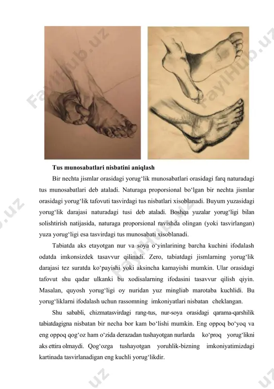 inson qo’llari va oyoqlarini turli rakurslarda (anotomik tahlillari) bilan tasvirlash - Page 5