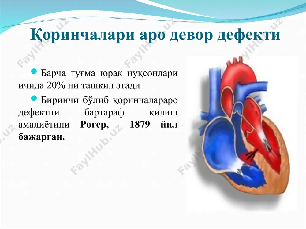 ткиси аниқланади. перкуссияда юракнинг бўғиқ овози чап қоринчанинг кенгайиши ҳисобига чап томонга силжиганлиги аниқланади. юрак бели яхши ифодаланган аортал конфигурация вужудга келади. аускультацияда ёпиқ клапанлар даври бўлмаганлиги сабабли барча клапан ёриқларида i - тон пасаяди. аорта клапан тавақаларининг етишмовчилиги туфайли ii - тон ҳам сусаяади (клапаннинг сезиларли бузилишида ii - тон умуман эшитилмаслиги мумкин). аорта етишмовчилиги қанча юқори бўлса, юрак тонлари шунча паст эшитилади. диастола шовқини ўзига хос белгилардан бири ҳисобланади. у иккинчи қовурға орасининг ўнг томонида ва айниқса, боткин-эрба нуқтасида яхши эшитилади. у тўш суягининг чап қирраси бўйлаб пастга ўтади, тик турганда яхши эшитилади. чунки бунда чап қоринчага қон келиши енгиллашади. юрак пороклари айрим ҳолларда аортада дисатолик шовқиндан ташқари систолик шовқин ҳам эшитилади. у юқорига кўтарилувчи аорта деворининг кенгайишига ва ўзгаришига боғлиқ бўлиб, бунга қоннинг аорта тешигидан ўтиш тезлашиши ҳам имкон беради. баъзан юрак учида систоладан олдинги «мусиқий шовқин», функционал хусусиятдаги бўшашиш шовқини ҳам эшитилади. у аортадан орқага отилиб …