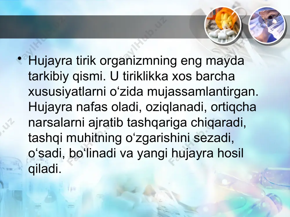 jarayoni kislorodsiz muhitda kechadigan organizmlar anaerob organizmlar deyiladi. aerob organizmlarda energetik almashinuv 3 bosqichda o‘tadi. 1. tayyorgarlik bosqichi. 2. kislorodsiz bosqich – glikoliz. plastik va energiya almashinuvida sodir bo‘ladigan o‘zgarishlar. 3. kislorodli bosqich – hujayraning nafas olishi. hujayra – tiriklikning irsiy birligi tirik organizmlar ko‘payish, ya’ni o‘ziga o‘xshaganlarni yaratish xususiyatiga ega bo‘lib, bu xususiyat genetik axborotni nasldan naslga o‘tkazish bilan bog‘liq. ko‘payish xususiyatiga molekula darajada qaralsa, bu hodisa dnk molekulasining ikki hissa ortishi bilan ifodalanadi. genetik axborot asosida biopolimerlar sintezlanishi matritsali sintez reaksiyalari deyiladi. bu reaksiyalarga dnk sintezi – reduplikatsiya, rnk sintezi – transkripsiya, oqsil biosintezi – translatsiya kiradi. dnk reduplikatsiyasi. irsiy axborotni nasldan naslga o‘tkazish dnk molekulasining fundamental xususiyati – reduplikatsiyasi bilan bog‘liq. dnk molekulasining ikki hissa ortishi reduplikatsiya deyiladi. euxromatin – xromatinning spirallashmagan, mikroskopda ko‘rinmaydigan ingichka, genetik jihatdan faol qismi. geteroxromatin – xromatinning spirallashgan, zichlashgan, genetik jihatdan nofaol qismi. бактериялар келтириб чиқадиган касалликлар касалликнинг номи қўзғатувчи бактерия тананинг …