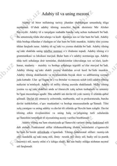 adabiy til va uning mezoni — DOC