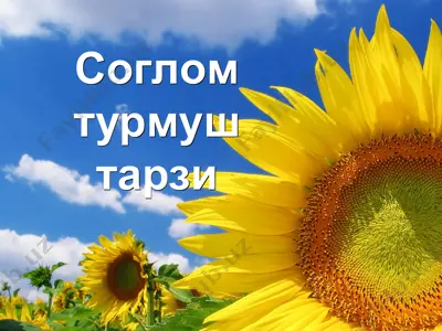 соглом турмуш тарзи — PPT