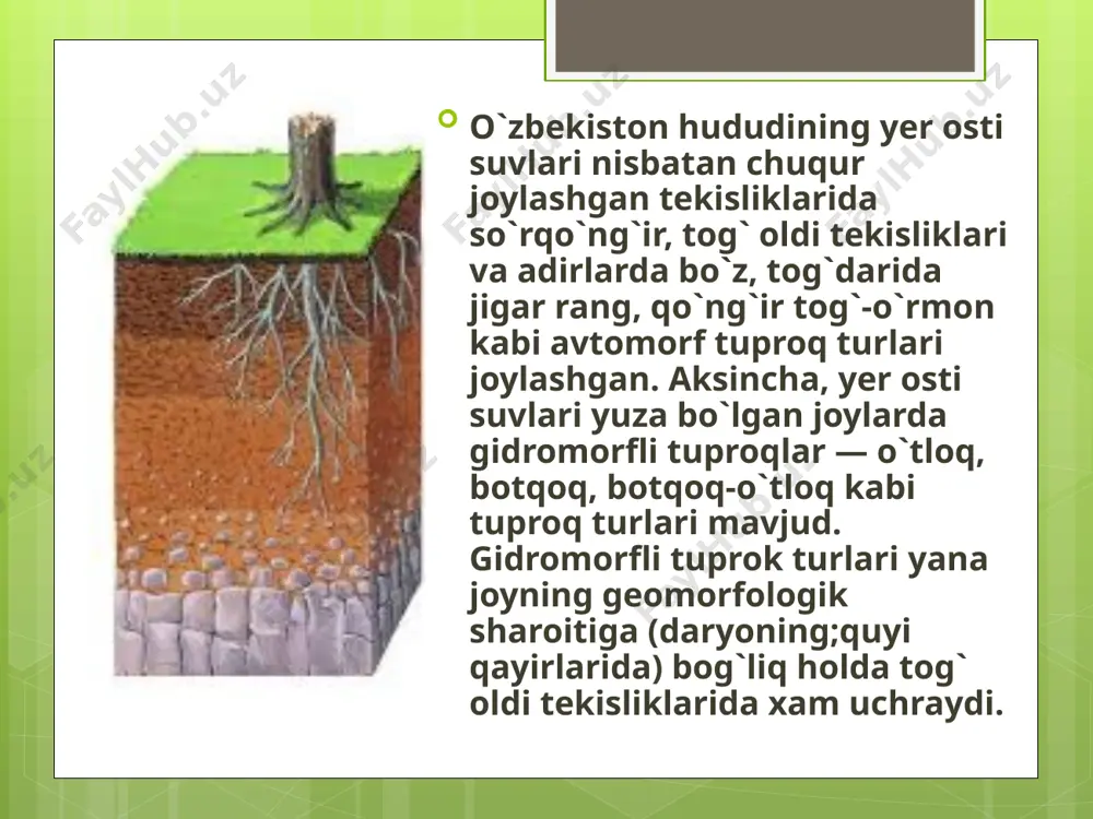 sli qo`ng`ir tuproq tarqalgan joylar o`zbekiston tog`larining eng baland qismlarida joylashganligi uchun tuproq uncha qalin emas, chunki skeletli delyuvial jinslar negizida vujudga kelgan, binobarin, tuproq mintaqa bo`yicha yoppasiga tutashib joylashgan emas. relefi qulay, nam, o`simliklar qalin o`sgan tog`larning shimoli-g`arbiy yonbag`irlarida bu tuproq turi nisbatan keng tarqalgan bo`lib, tarkibida gumus miqdori 5—7%, gacha, gumus saqlovchi qatlam esa 30—60 sm. yyetadi. aksincha, tog`larning quyoshga qaragan janubiy yonbag`irlarida tuproq yaxshk rivojlanmasdan ko`p joylarida tub ona jinslar yyer betiga chihib, qoyalar ochilib, ko`p qismini shag`al va qurumlar ishg`ol qiladi. bunday joylardagi mavjud bo`lgan och tusli qo`ng`ir tuproqlar qatl.ami yupqa, tarkibida chirindi miqdori kam bo`lib 2—3 % ni tashkil etadi. image2.png image3.png image4.png image5.png image6.png image7.png image8.png image9.png image10.png image11.png image12.png image13.png
