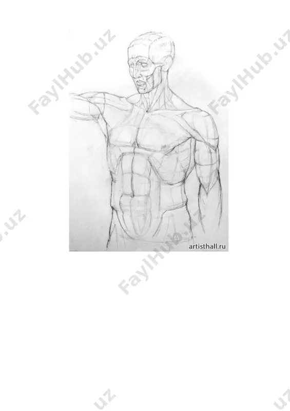 anatomik bosh qalamtasvirini ishlash (ekorshe gudon modeli). - Page 3