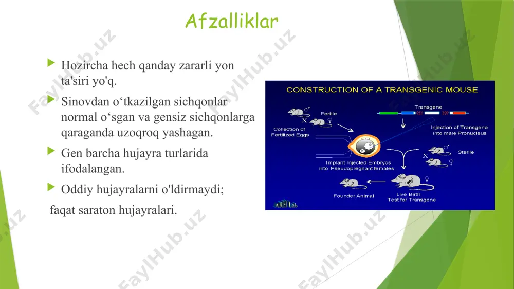 otlar baholash tizimi sifat va xavfsizlik gmo (rossiya) ishlab chiqaruvchi tomonidan taqdim etilgan tadqiqotlar natijalarini tekshirish tarkibiy ekvivalentlik yangi oqsilning xavfsizligi marketingdan keyingi monitoring qo'shimcha tadqiqotlar gmo tibbiy genetik baholash biotibbiy baholash texnologik baholash xulosa gmi oziq-ovqat xavfsizligi to'g'risida oziq-ovqat maqsadlarida foydalanish uchun ruxsat ro'yxatga olishdan keyingi monitoring qo'shimcha tadqiqotlar ruxsat etilgan gmolar ro'yxati amalga oshirish: jahon amaliyoti yevropa hamjamiyati mamlakatlari : yevropa oziq-ovqat xavfsizligi boshqarmasi (efsa) tasdiqlangan gmolar ro'yxati evropa ittifoqining 1829/2003 qoidalariga muvofiq http://www.efsa.eu.int/science/gmo aqsh aqsh oziq-ovqat va farmatsevtika idorasi c konsalting protseduralaridan o'tgan gmolar ro'yxati va tartibga solinmagan maqomini oldi http://www.fda.gov/default.htm e’tiboringiz uchun rahmat!!! image1.png image2.png image3.jpeg image4.png image5.jpeg image6.png image7.jpeg image8.jpeg image9.png image10.png image11.png image12.jpeg image13.png image14.png image15.jpeg image16.jpeg image17.jpeg image18.jpeg image19.jpeg image20.wmf image21.emf image22.wmf image23.jpeg /docprops/thumbnail.jpeg