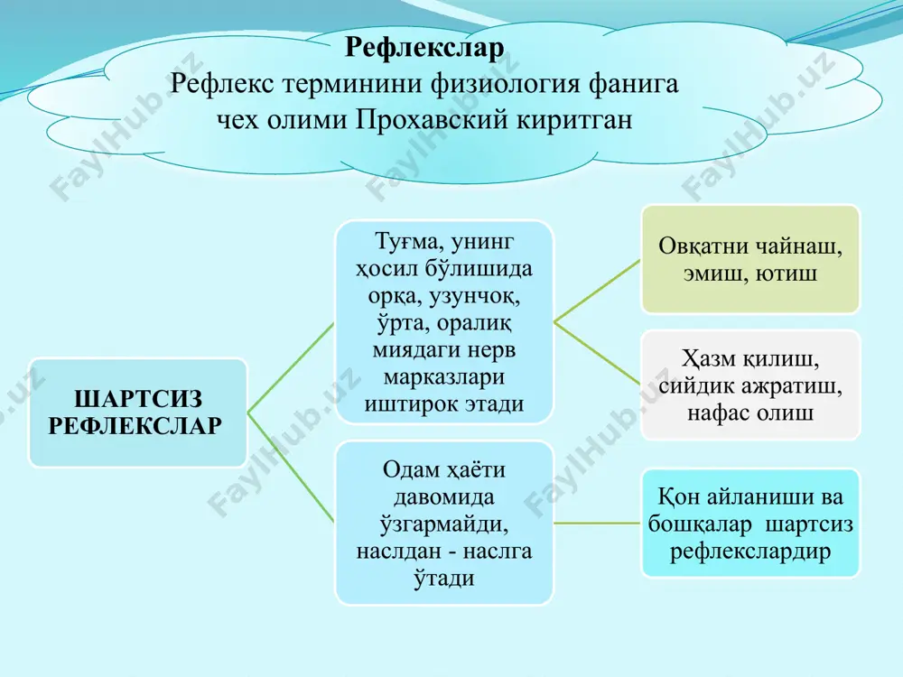 yatlari oliy nerv faoliyati bo'lib, u bosh miya yarim sharlari va ular po'slog'ida joylashgan nerv markazlarining normal funktsiyasiga bog'liq. odamning oliy nerv faoliyati murakkab reflekslar orqali namoyon bo'ladi birinchi va ikkinchi signal sistemasi birinchi signal sistemasi odamda birinchi va ikkinchi signal sistemasi, hayvonlarda esa faqat birinchi signal sistemasi bo'ladi birinchi signal sistemasi - qabul qiluvchi ta'sirlar ko'rish, eshitish, hid sezish, ovqat ta'mini bilish kabi sezgi organlari orqali axborotni qabul qilish. bu sezgi organlari orqali qabul qilingan tashqi va ichki muhitning ta'siri miyaning shunga tegishli markazlarida refleks hosil qiladi ikkinchi signal sistemasi odamning oliy nerv faoliyati o'ziga xos anglash, abstrakt fikrlash; so'zlash qobiliyatiga ega. odam oliy nerv faoliyatining taraqqiyoti natijasida voqeylikning ikkinchi signal sistemasi vujudga kelgan ikkinchi signal sistemasi so'zlardan iborat bo'ladi. odamda og'zaki va yozma nutqning rivojlangan. i.p.pavlov : "nutq, bizni odam qildi" - degan edi. odamda shartli refleks nutq yordamida ham hosil bo'lishi mumkin emadigan vaqtida bo'rilar olib qochib …