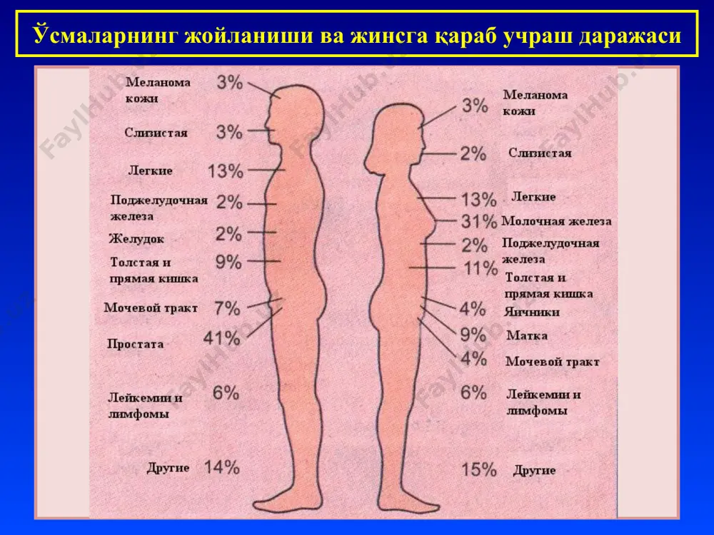 и бузилмаган. гистологик тузилиши бўйича бундай ўсмани аденоматоз полип дейилади. эпителий хавфсиз ўсмалари рак дифференциалланмаган ва етилмаган эпителий ҳужайраларидан ўсади. микроскопик формалари: “carcinoma in situ”; ясси эпителийли рак; аденокарцинома; шилимшиқли рак; трабекуляр рак; майда ҳужайрали рак; фиброзли рак (скирр); медулляр рак (мозговик). “carcinoma in situ” атипик ҳужайралар эпителий қатлами ичида, атрофга тарқалмаган эпителий хавфли ўсмалари - рак мугузланмайдиган ясси эпителийли рак мугузланадиган ясси эпителйили рак эпителий хавфли ўсмалари - рак аденокарцинома – безли рак шилимшиқли рак эпителий хавфли ўсмалари - рак базал ҳужайрали рак – базалиома - тери оқиш ҳужайрали рак буйрак пўстлоқ қавати эпителий хавфли ўсмалари - рак