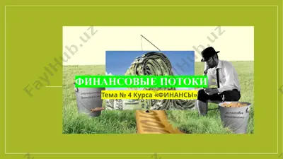 finansovie potoki — PPTX